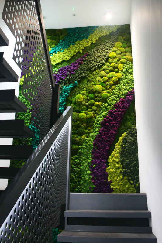 ../images/greenwalls/podkat/_Lichene - Nordic moss.jpg